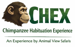 Chimpanzee Habituation Experience in Uganda Logo