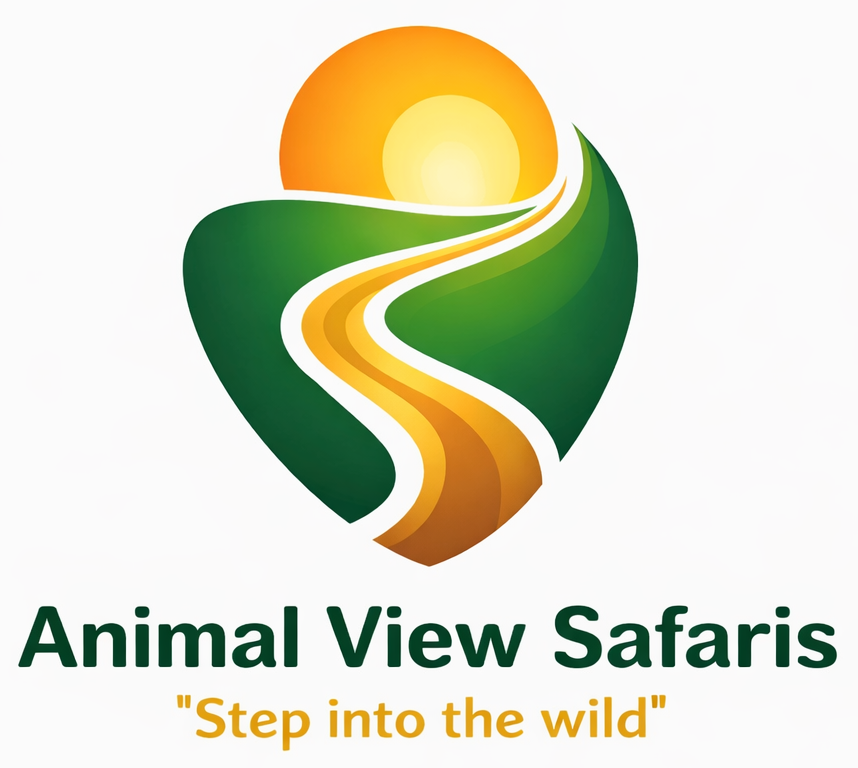 Chimpanzee Habituation Experience in Kibale National Park, Uganda